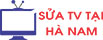 Điện Tử Hà Nam